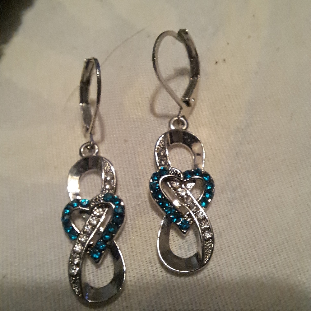 NWOT Earrings